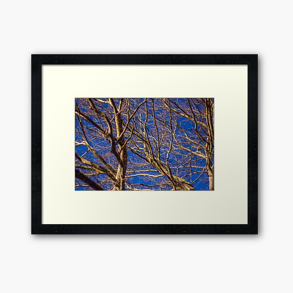 Intravenous Framed Art Print