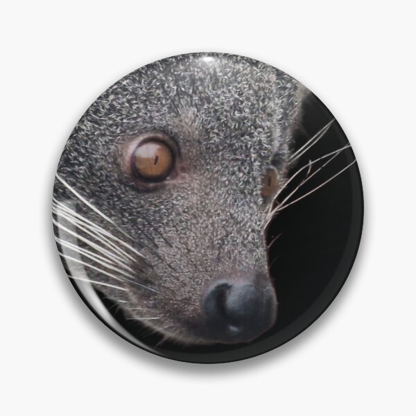 Item preview, Binturong peekaboo designed and sold by Naturalcraft.