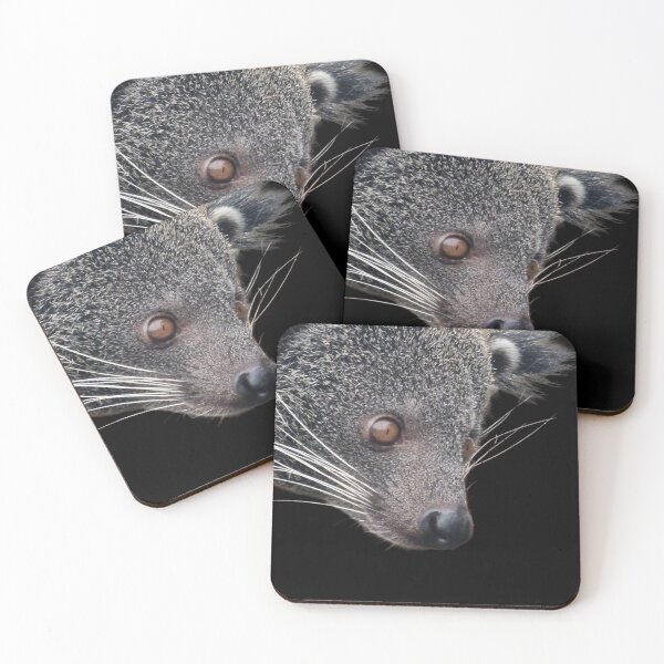 Item preview, Binturong peekaboo designed and sold by Naturalcraft.