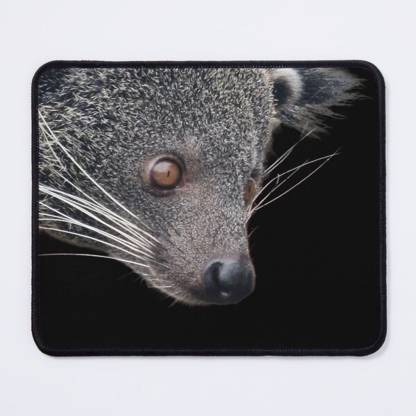 Item preview, Binturong peekaboo designed and sold by Naturalcraft.