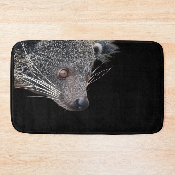 Item preview, Binturong peekaboo designed and sold by Naturalcraft.