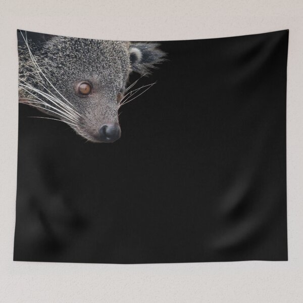 Item preview, Binturong peekaboo designed and sold by Naturalcraft.