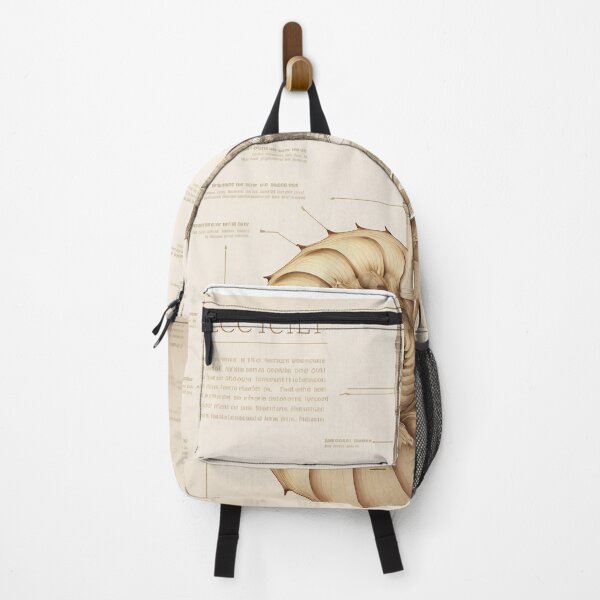 Item preview, Hand Drawn Fibonacci Style Infographic designed and sold by RAGANADesign.