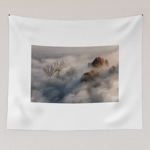 Item preview, Trees in the morning mist designed and sold by pietrofoto.