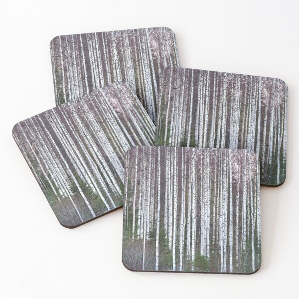 Item preview, Birch trees 3 designed and sold by Markku Mesterton.