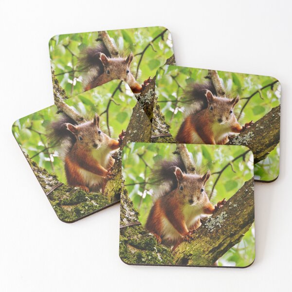 Item preview, Squirrel designed and sold by ReljaX.