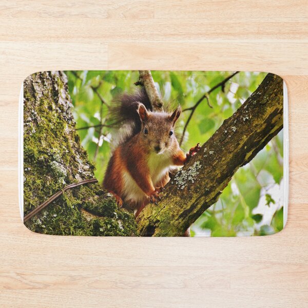 Item preview, Squirrel designed and sold by ReljaX.