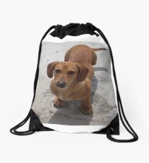 Mochila de cuerdas dachshund completo