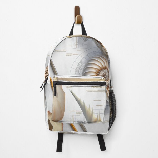 Item preview, Hand Drawn Fibonacci Style Infographic designed and sold by RAGANADesign.
