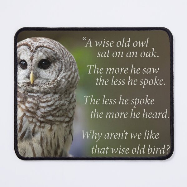 Item preview, Wise Old Owl designed and sold by Dale Kincaid.