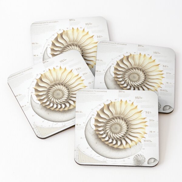 Item preview, Hand Drawn Fibonacci Style Infographic  designed and sold by RAGANADesign.
