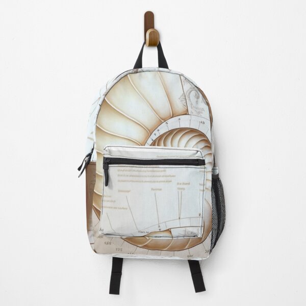 Item preview, Hand Drawn Fibonacci Style Infographic designed and sold by RAGANADesign.
