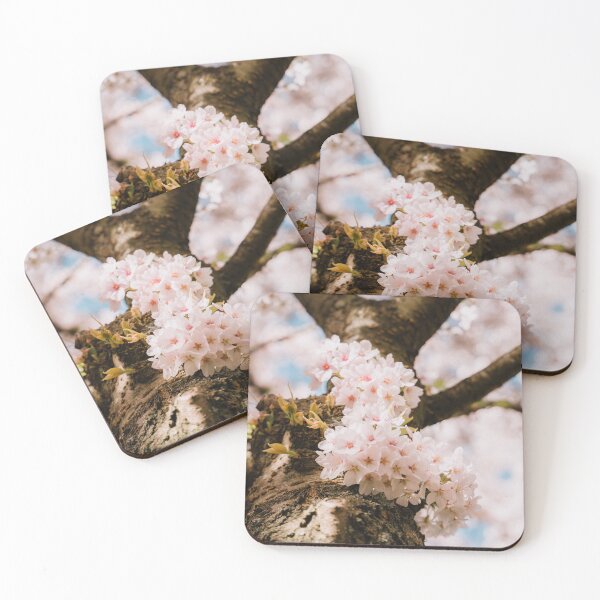 Item preview, Cherry blossom tree from below designed and sold by photofelix-.