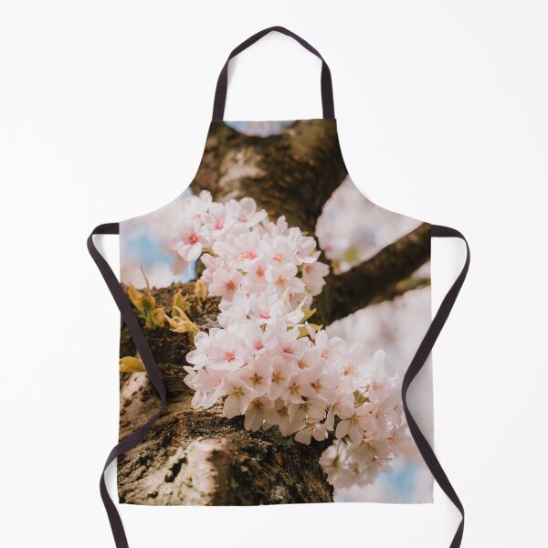 Item preview, Cherry blossom tree from below designed and sold by photofelix-.