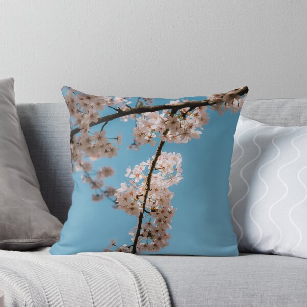 Item preview, Cherry blossom tree from below designed and sold by photofelix-.