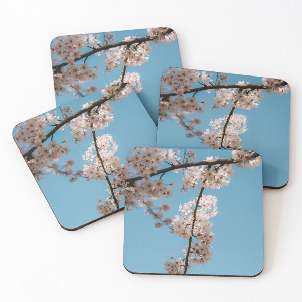 Item preview, Cherry blossom tree from below designed and sold by photofelix-.