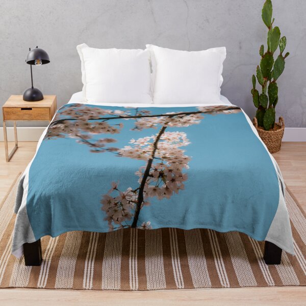 Item preview, Cherry blossom tree from below designed and sold by photofelix-.