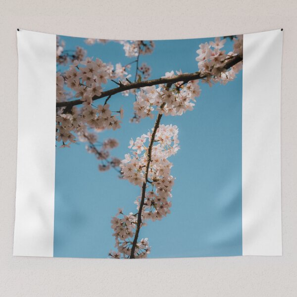 Item preview, Cherry blossom tree from below designed and sold by photofelix-.