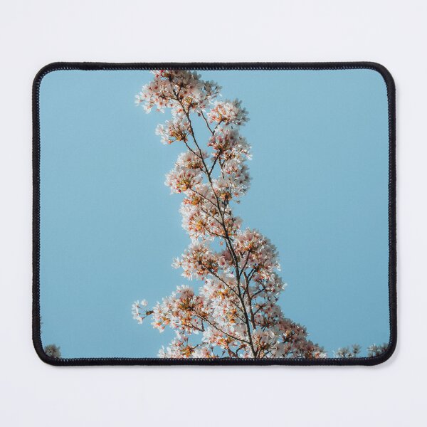 Item preview, Cherry blossom tree branch from below designed and sold by photofelix-.