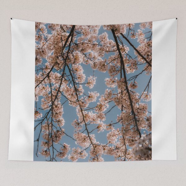 Item preview, Cherry blossom tree from below designed and sold by photofelix-.
