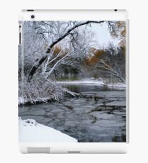 Winter Wonderland... iPad Case/Skin
