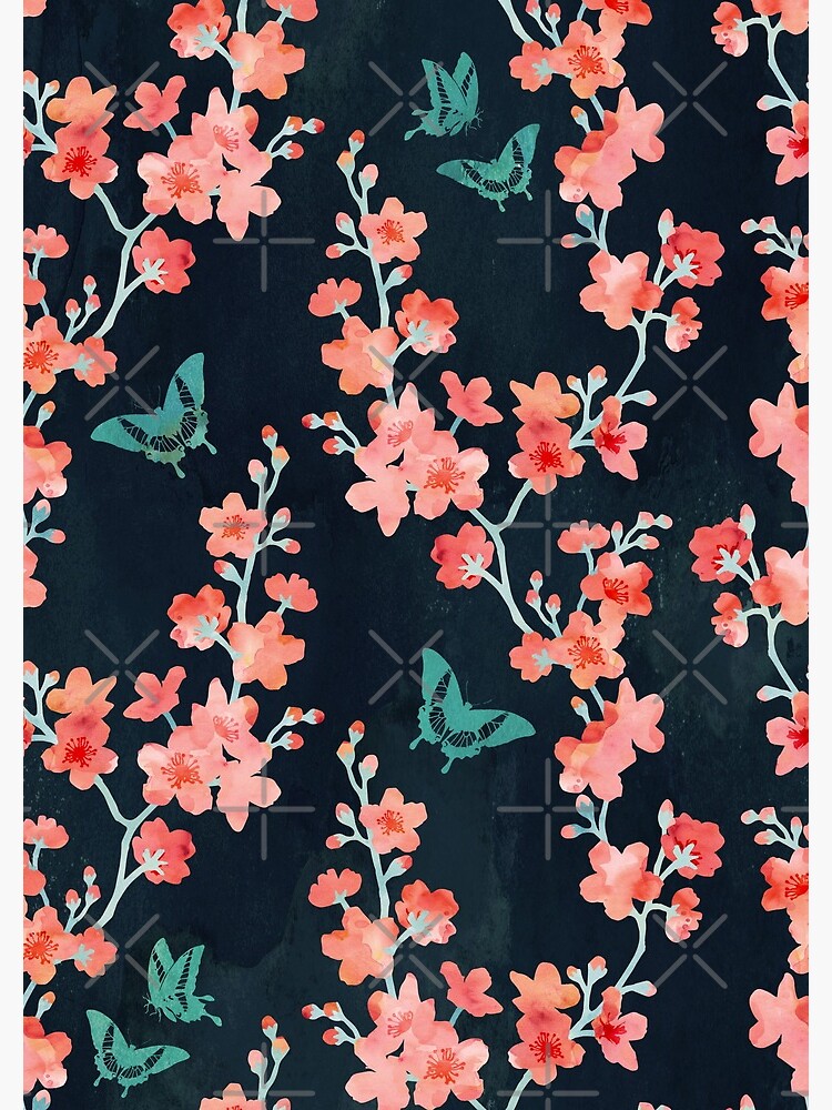 Sakura mariposas audaces de adenaJ