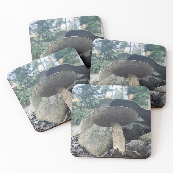 Item preview, Bolete Mushroom designed and sold by Kelly O'Neill.