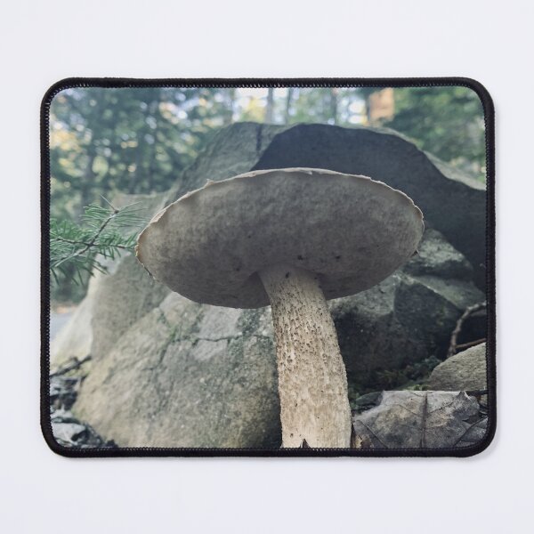 Item preview, Bolete Mushroom designed and sold by Kelly O'Neill.
