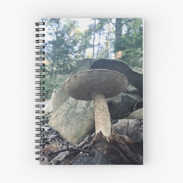 Item preview, Bolete Mushroom designed and sold by Kelly O'Neill.