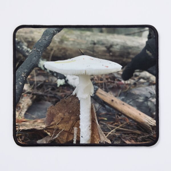 Item preview, Mushroom designed and sold by Kelly O'Neill.