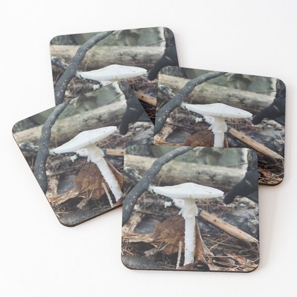 Item preview, Mushroom designed and sold by Kelly O'Neill.