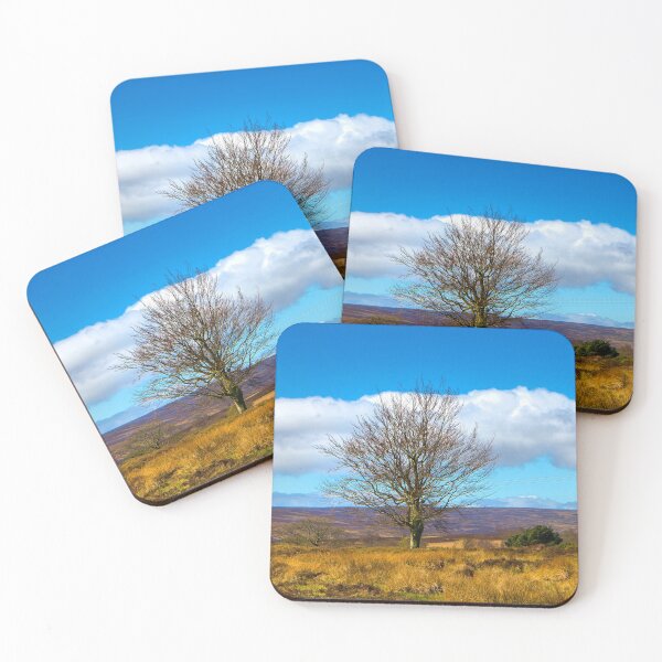 Item preview, Moorland tree designed and sold by Dave Hare Photography.