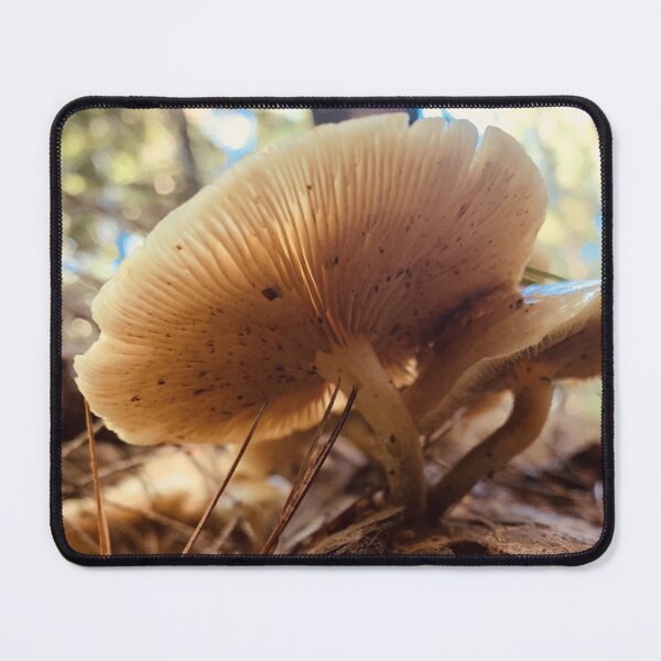 Item preview, Mushroom designed and sold by Kelly O'Neill.