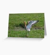 Flagging Territory Greeting Card