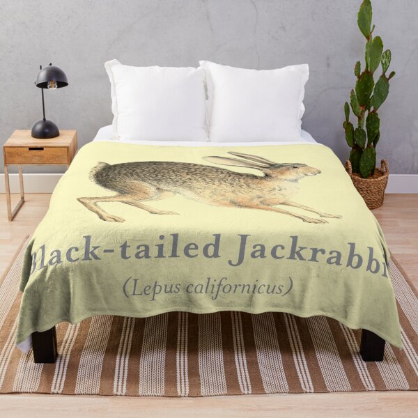 Item preview, Black-tailed Jackrabbit Portrait with Scientific Name designed and sold by Futurebeachbum.