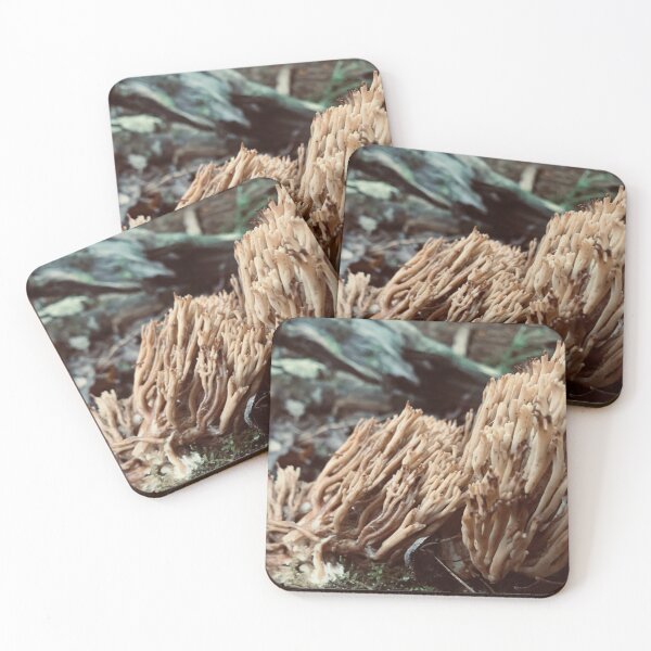 Item preview, Coral Fungi designed and sold by Kelly O'Neill.
