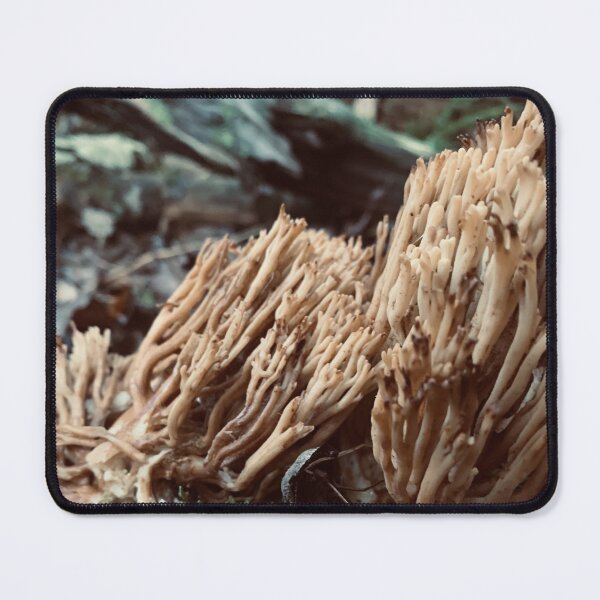 Item preview, Coral Fungi designed and sold by Kelly O'Neill.
