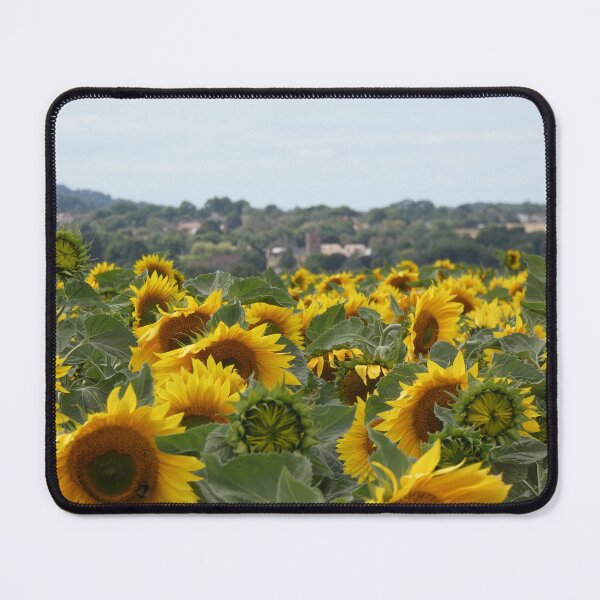 Item preview, Sunflowers Nether Stowey designed and sold by wumplekin.