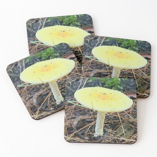 Item preview, Mushroom designed and sold by Kelly O'Neill.