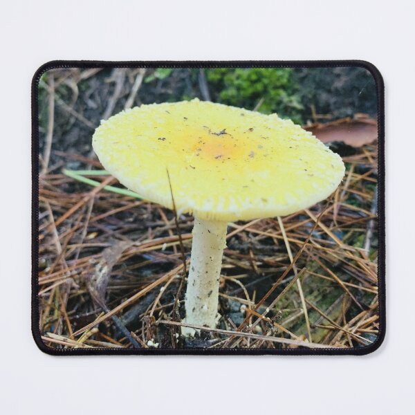 Item preview, Mushroom designed and sold by Kelly O'Neill.