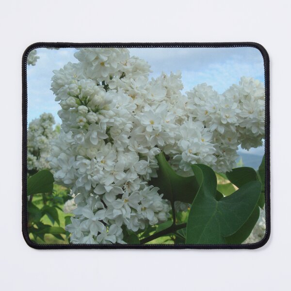 Item preview, white lilac - macro shot // designed and sold by Lillrose.