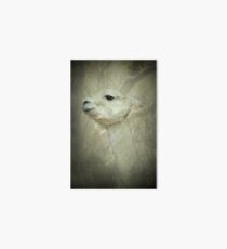 Lady Llama Art Board