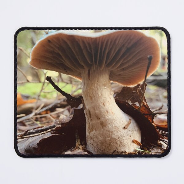 Item preview, Mushroom designed and sold by Kelly O'Neill.