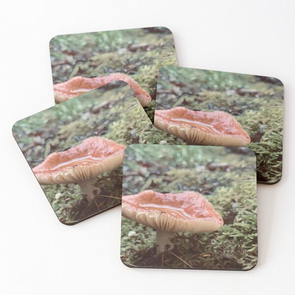 Item preview, Mushroom & Moss designed and sold by Kelly O'Neill.