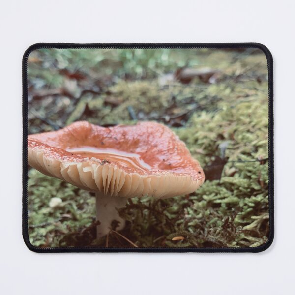 Item preview, Mushroom & Moss designed and sold by Kelly O'Neill.