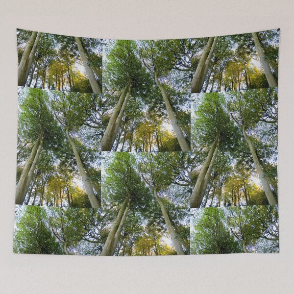 Item preview, Tall Trees designed and sold by wumplekin.