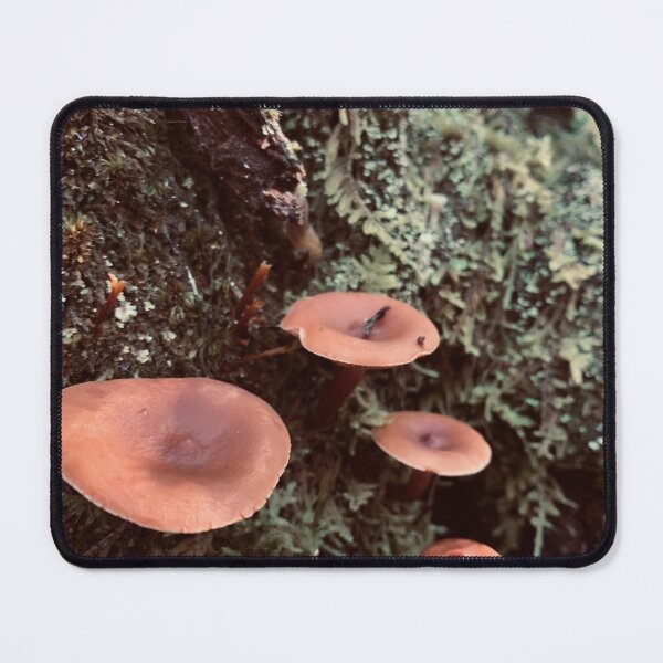 Item preview, Mushrooms designed and sold by Kelly O'Neill.