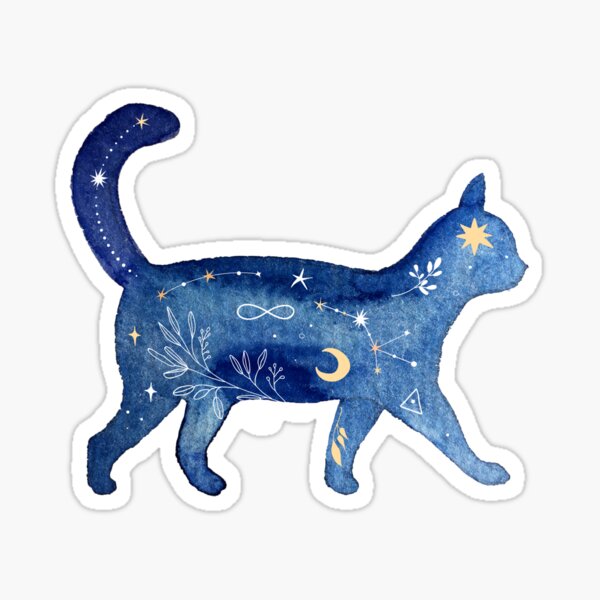 Soggy Cat Sticker - Soggy Cat Sphere - Discover & Share GIFs