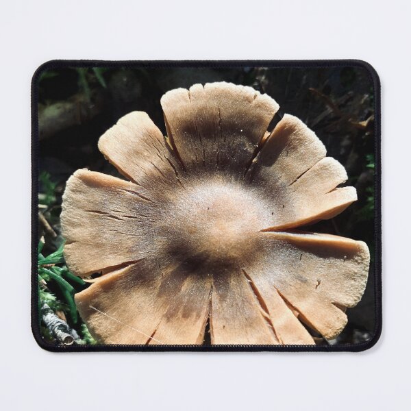 Item preview, Mushroom designed and sold by Kelly O'Neill.