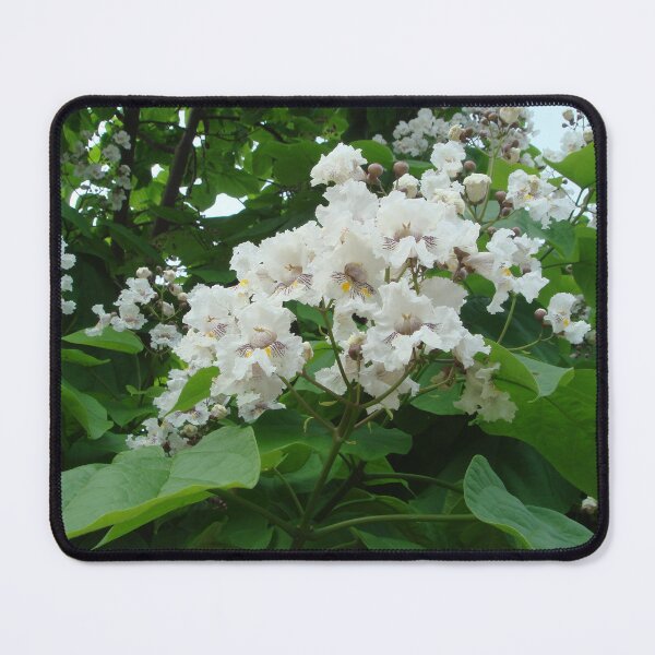 Item preview, Sweet chestnut with white flowers // designed and sold by Lillrose.